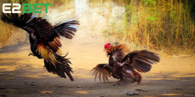 Biết cách quản lý tài chính thông minh giúp bạn hạn chế thua trắng