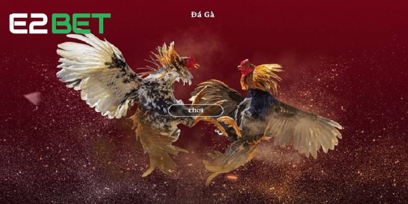 kinh nghiệm đá gà online
